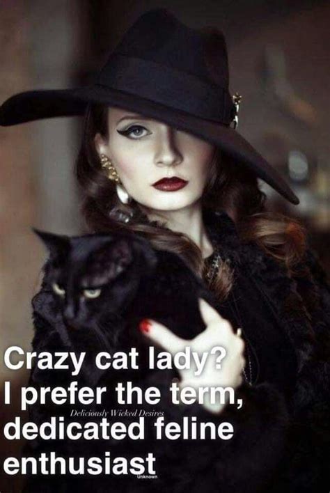 Pin By Carol Woods On My Furry Babies Crazy Cats Crazy Cat People