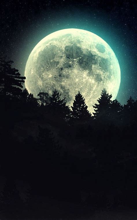 Free App Moonlight Live Wallpaper Shower Your Screen With Wonderful