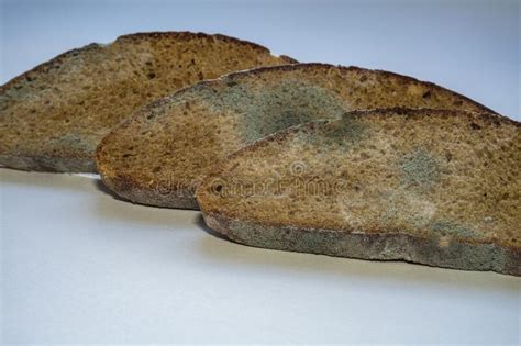 Zwarte schimmel komt vooral voor in donkere vochtige ruimtes zoals badkamers en kan zich snel verspreiden. Stukken Brood Bedekt Met Zwarte Schimmel En Sporen Stock ...