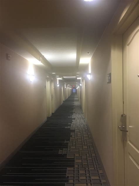 A New Hallway Looks Like A Hotel Should I Investigate Further I Think There May Be An