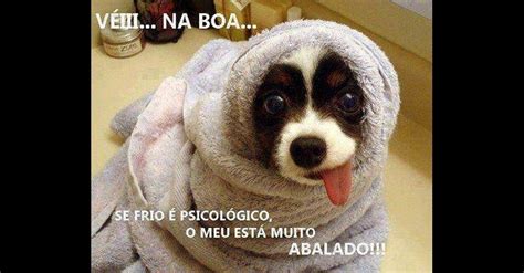 Imagens de neve e inverno. Onda de frio no país vira brincadeira no Facebook e ...