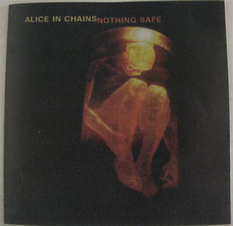 Alice In Chains Nothing Safe The Best Of The Box Cd Discogs