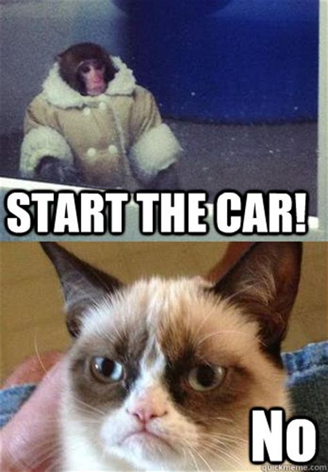 Start The Car No Ikea Monkey Grumpy Cat Quickmeme