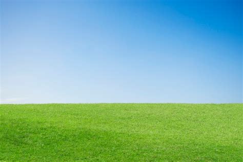 Grass Field Images Free Download On Freepik
