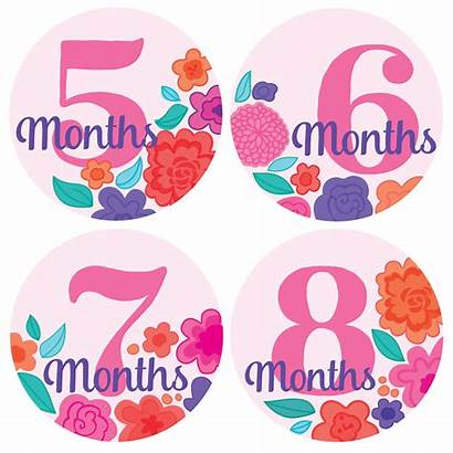 Stickers Months Monthly Flowers Pink P18