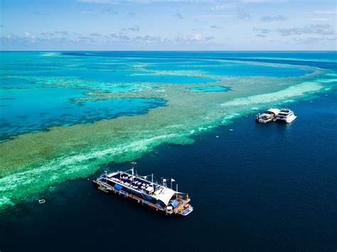 The Hardy Reef Pontoon At The Great Barrier Reef Thisisqueensland