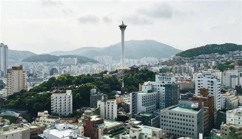 Busan Travel Guide - The Best Things to Do in Busan | life of brit