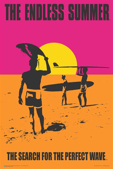 The Endless Summer Laminated Movie Poster 24x36 Inches In 2023