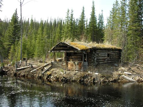 Old Cabin In The Woods | Old Log Cabin, cabin, forest, log cabin, old, river, trees, woods | Old 