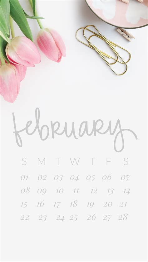 February Backgrounds For Iphone Art Floppy