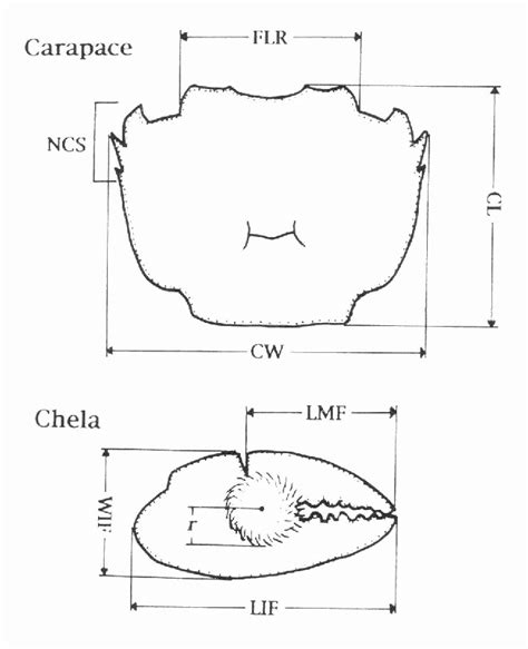 Figure 1 From Biochemical And Morphological Evidence Of Two Sympatric