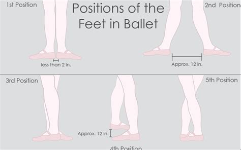 Ballet Terms For Beginners Dance Classics