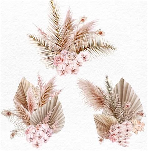 Pampas Grass And Orchids Watercolor Clipart 5 Blush Bouquets With Dried