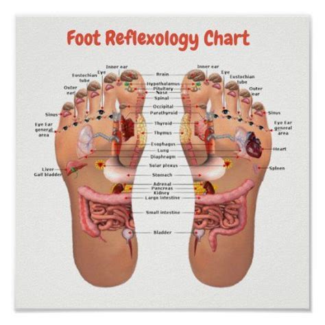 Pin On Foot Reflexology