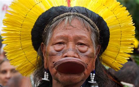 We found that virtually all previous vaccines drives had a 90%. White Wolf : Indigenous peoples from Brazil protest at the ...