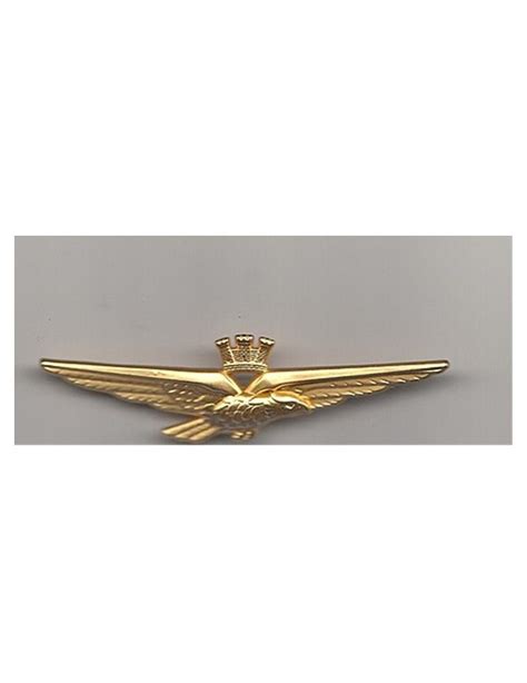 Brevetto Pilota Militare 75 Cm Tipo Johnson Distintivi Metallici 1800