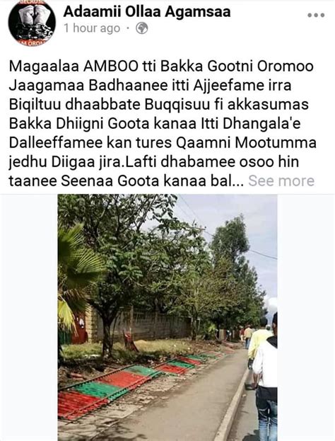 Upcoming oromoo singer keekiyyaa badhaadhaa has released his new single barraaq! Keekiyaa Badhanee / Art Soninaf Adem Home Facebook : New ...