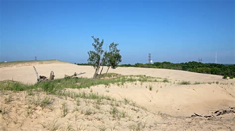 Indiana Dunes Is Americas Newest National Park And One Of Its Most Diverse
