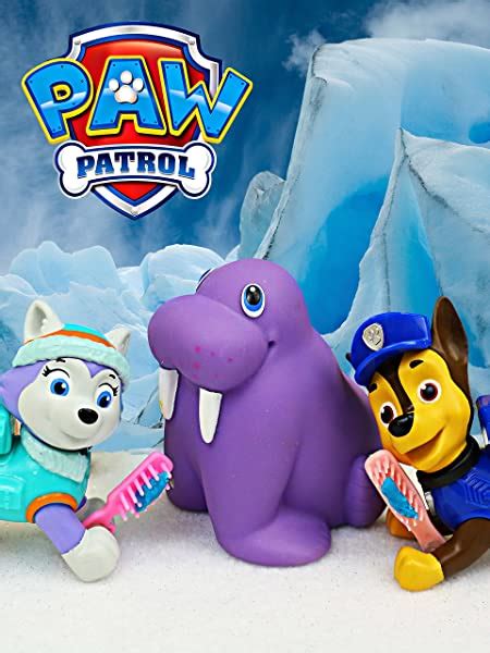 Paw Patrol Chase And Rubble With Rocky Rescue Everest And