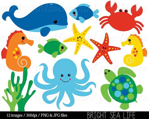 Sea Animal Clipart, Under the Sea, Baby Sea Creatures Clip Art, Animal
