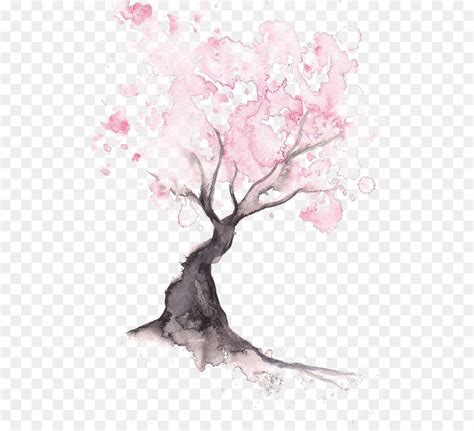 Cherry Blossom Trees Drawing