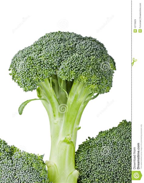 Fresh Green Broccoli Stock Image Image Of Vegetarian 12779929
