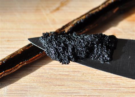 You can get a result in 30 minutes. Where Can I Buy Whole Vanilla Beans Near Me - Buy Walls