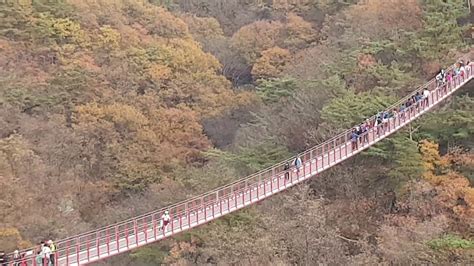 Gamaksan Suspension Bridge Paju South Korea Youtube