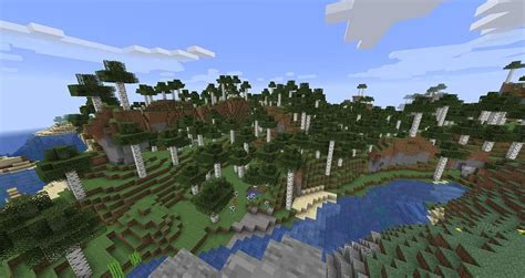 Old Growth Birch Forest In Minecraft
