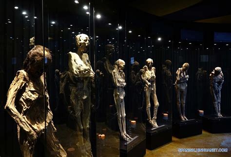 La Momia Exhibida En El Museo De Las Momias Viajeras En Guanajuato