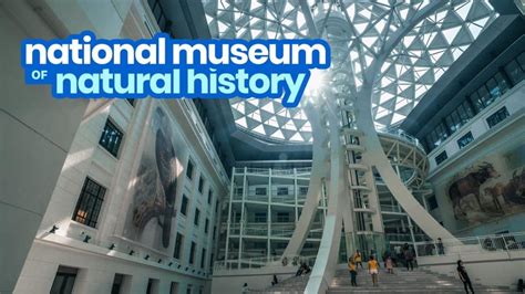 National Museum Of Natural History In Manila Guide For First Timers