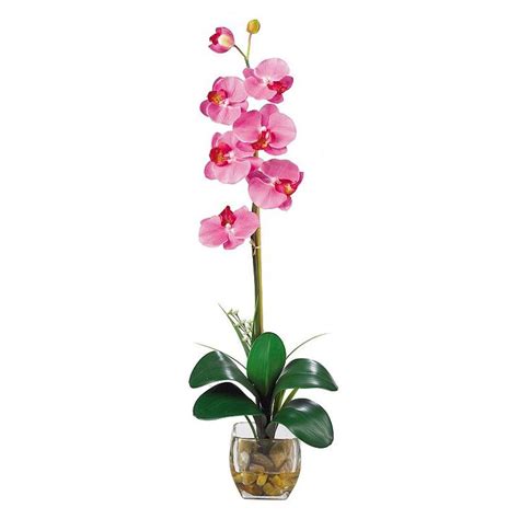 Nearly Natural Liquid Illusion Silk Phalaenopsis Orchid Floral Arrangement Orchids In Water