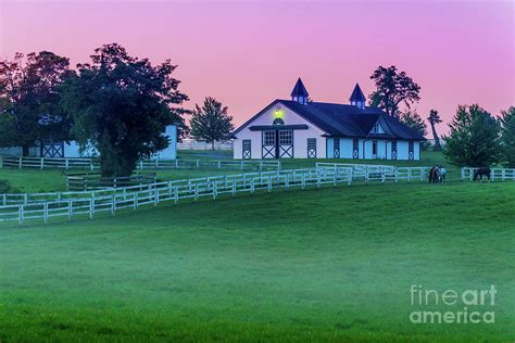 Morning Kentucky Bluegrass Horse Farm Lexington Photograph By Gary