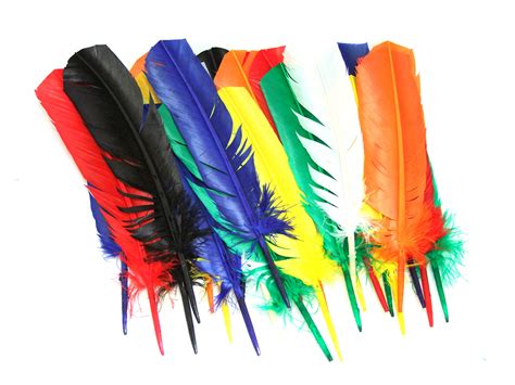 Assorted Indian Coloured Craft Feathers (Pack of 25) | Art ...