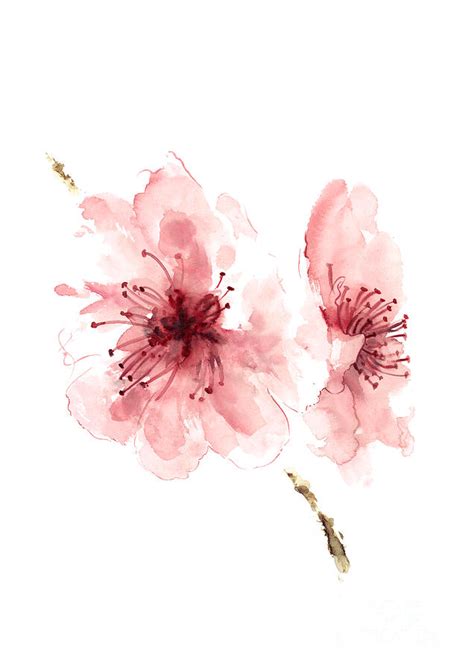 Cherry Blossom Blossom Wall Art Buy Art Online Flower