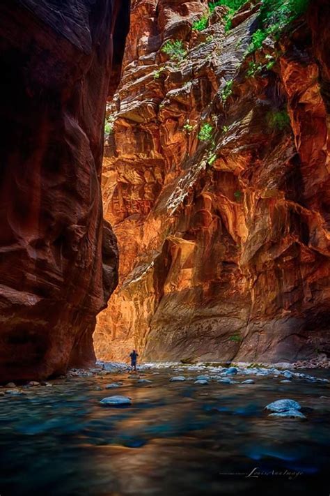 Virgin River Narrows Zion National Park Ut Usa Beautiful Places