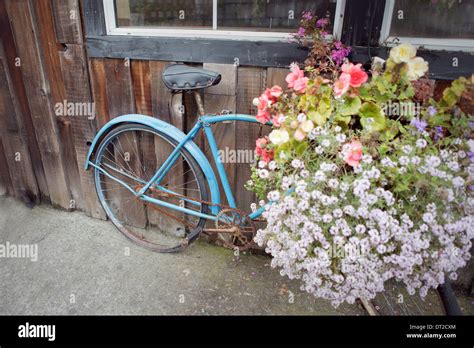 Antique Bicycle With Basket Full Of Flowers Stock Photo 66436908 Alamy