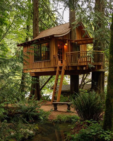 5 Funky Places To Stay This Fall In Washington Tree House