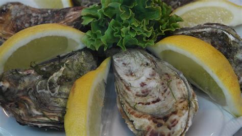 Free Images Sea Ocean Dish Meal Food Produce Oyster Seafood