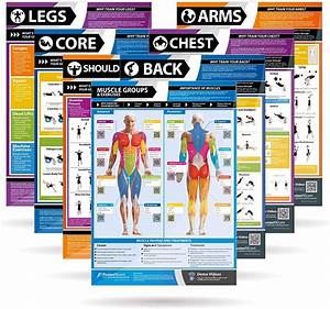 Best Posters For Home Gym Walls Workout Hd Posters