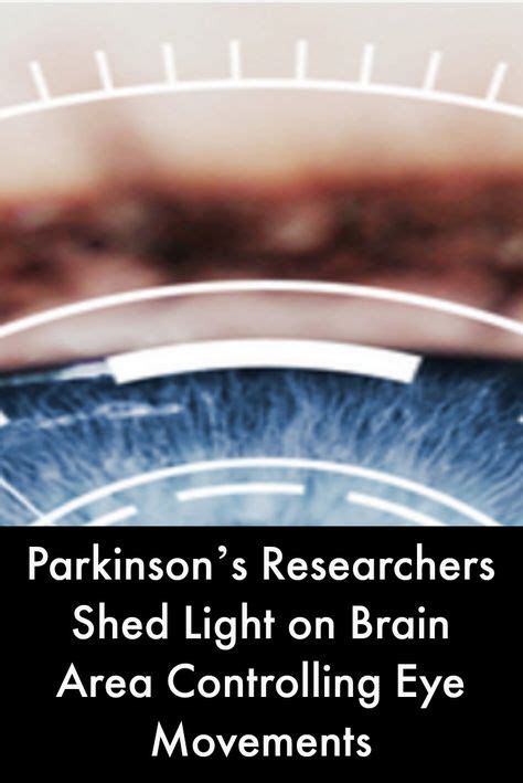 Parkinsons Researchers Shed Light On Brain Area Controlling Eye