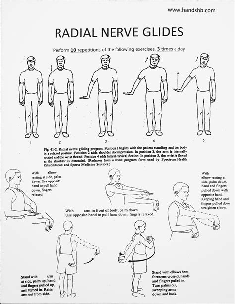 Hb Hands Radial Nerve Glides Rehab Pinterest Therapy