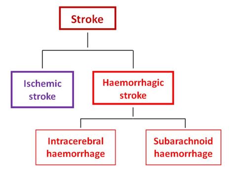 Role Of Neuroinflammation In Ischemic Stroke