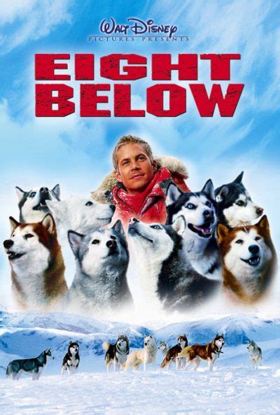 When a miami dentist inherits a team of sled dogs, he's got to learn the trade or lose his pack to a crusty mountain man. Doggy Dan's Top 10 Favorite Dog Movies - The Online Dog ...