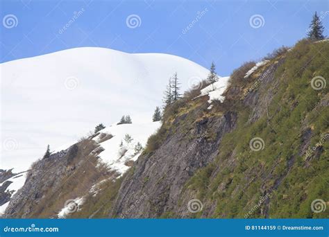 Snow Capped Mountain Stock Image Image Of Trees Vegitation 81144159