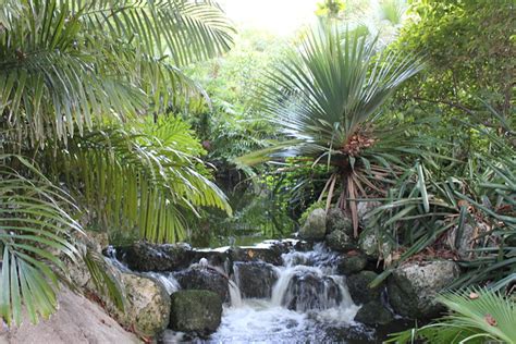 Scenic Waterfall With Palm Trees Scenic Waterfall With Pa Flickr
