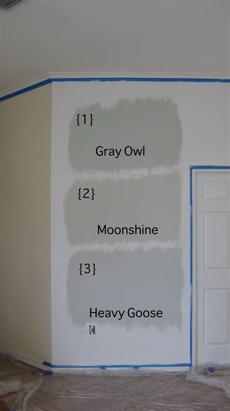 Gray Owl Moonshine Heavy Goose Paint Colors Benjamin Moore