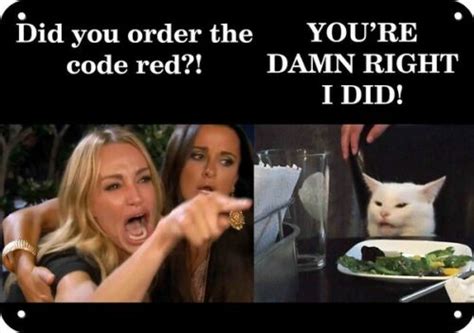 Woman Yelling At Cat Meme Did You Order The Code Red Or Say Anything