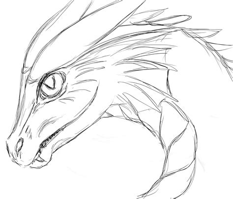 Gezeichneter Drachenkopf | Drachen zeichnen, Drachenzeichnungen, Bilder