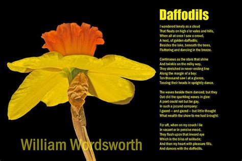 Daffodils Daffodils Poem Daffodils William Wordsworth